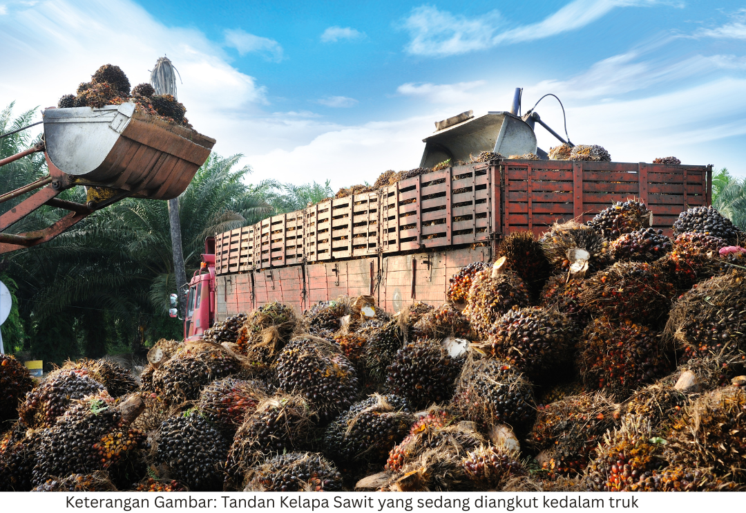 BBSPJIKFK BERKOLABORASI MENGOLAH TANDAN KOSONG KELAPA SAWIT (TKKS) MENJADI PRODUK BERNILAI TINGGI